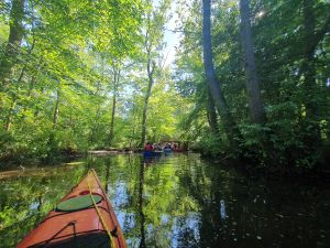 Paddeln durch die unberührte Natur